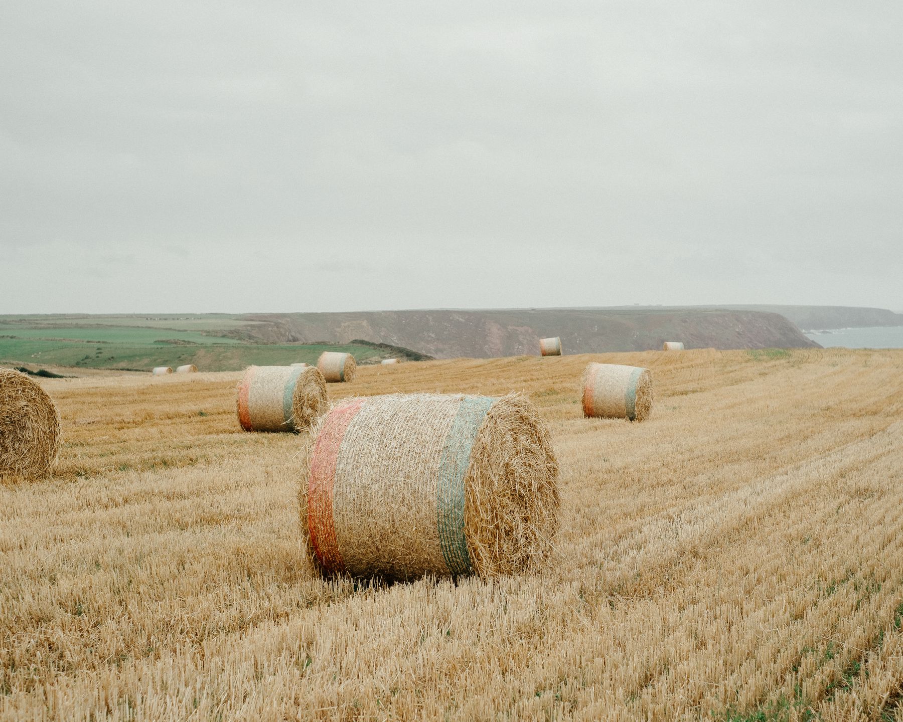 Round hay bales stored across a dry harvested field