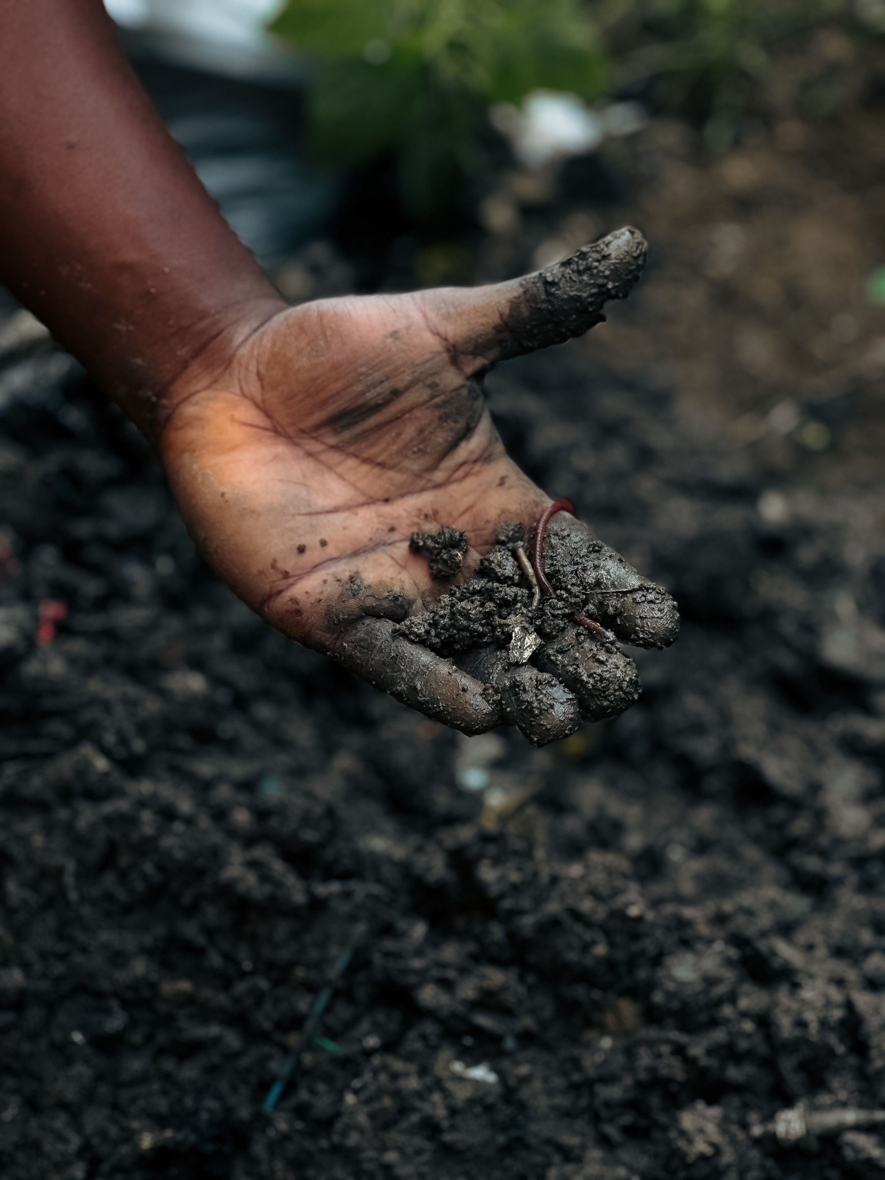 A farmer holding biologically active soil and an earthworm